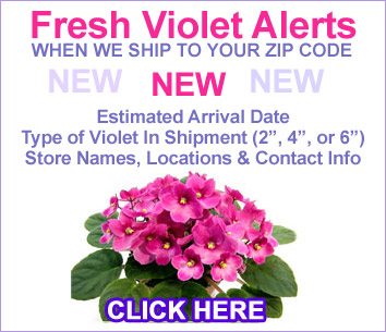 FResh Violet Alerts